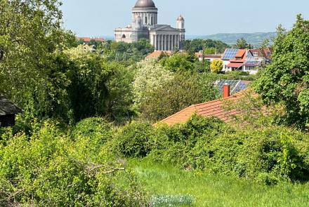 Csodálatos Bazilikai panoráma